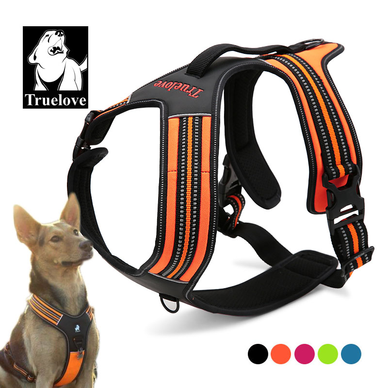 Truelove Sport Nylon Reflectiv - Outdoor Adventure Xl 评论和价格